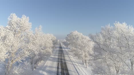 Ice-Trees-Adorn-Roadside
