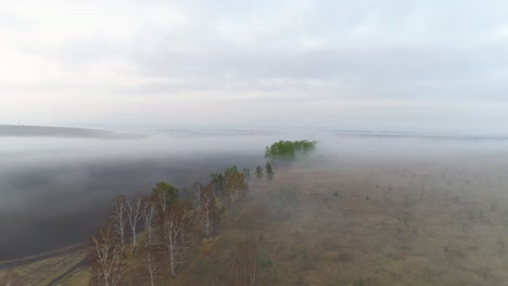 Aerial-View-of-Spring-Landscape-in-Mist