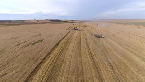 Luftaufnahmen-Von-Agrarlandschaften,-Aufgenommen-Von-Drohnen