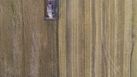 Aerial-view-of-work-combine-harvester