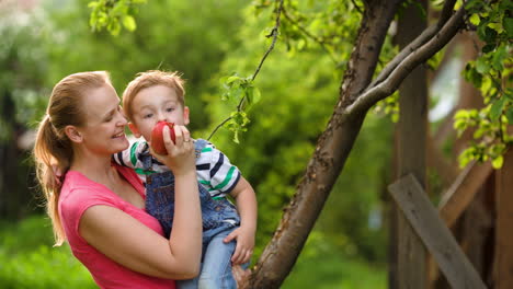 Mother-feeding-her-son-with-an-apple-in-the-garden