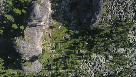 Luftaufnahme---Bewaldete-Berge