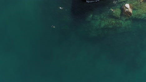 Aerial-Perspective-of-Swimmers