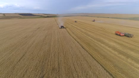 Aerial-View---Wheat-Harvesting