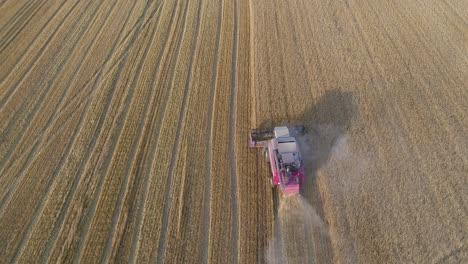 Aerial-View-of-Harvester