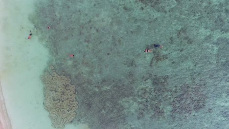Luftaufnahme---Menschen-Am-Korallenstrand