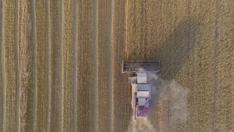 Aerial-view-of-combine-in-action