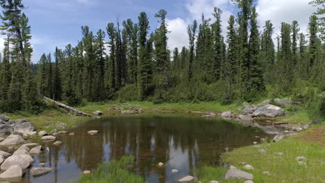 Explore-the-beauty-of-Forest-Lake