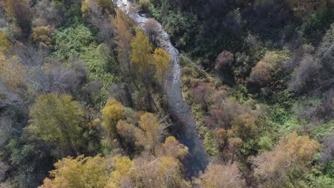 Luftaufnahme---Herbstwald