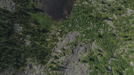 Luftaufnahme-Eines-Ruhigen-Waldsees