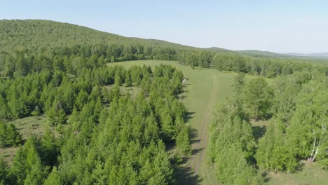 Aerial-View-of-Summer-Forest