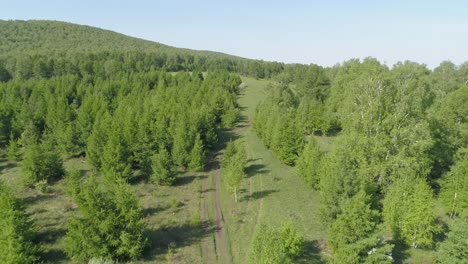 Aerial-View-of-Siberian-Forest