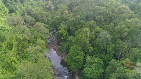 Drone-captures-stunning-jungle-river