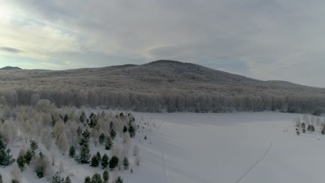 Winterliche-Berglandschaft