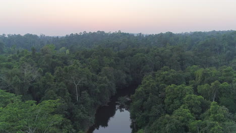 Flug-In-Den-Sonnenuntergangsdschungel
