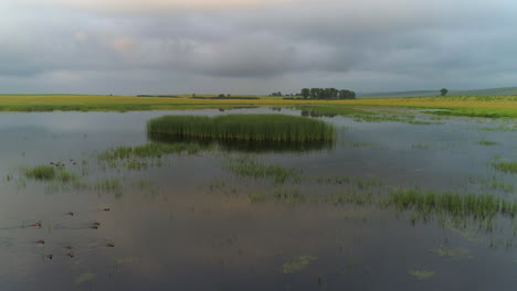 Sunset-Reflection-on-Lake-with-Ducks