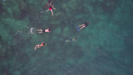 Aerial-Snorkeling-Perspective