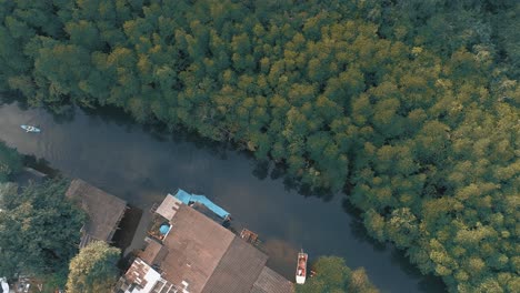 Luftaufnahme-Des-Mangrovenwaldflusses