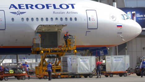 Unloading-Plane-from-the-Cargo-and-Luggage