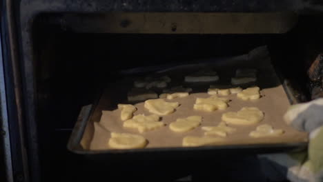 Putting-baking-tray-with-cookies-into-the-oven
