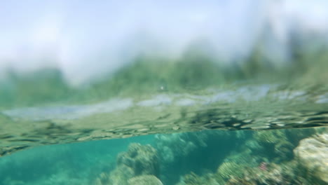 Korallenriffe-Im-Flachen-Meerwasser