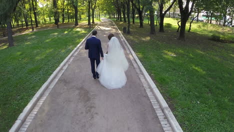 Newly-wedded-couple-walking-in-green-park-aerial-view