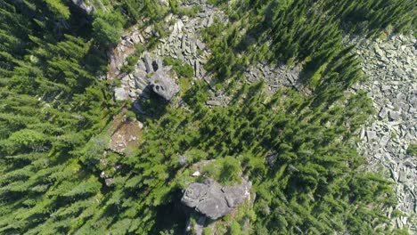 Aerial-View-of-Rocks-and-Forest