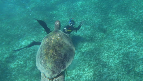 Diver-Shooting-a-Big-Sea-Turtle