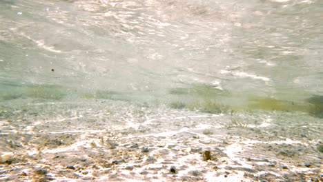 Sunlit-ground-and-clear-shallow-water