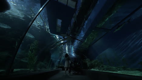 Underwater-tunnel-in-oceanarium-of-Bangkok-Thailand