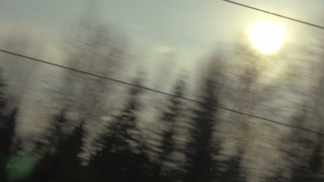 Nature-scene-with-sun-and-trees-view-from-the-train