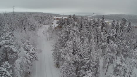 Aerial-view-of-winter-camp-in-pine-forest