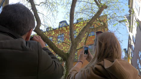 Friends-Taking-Photos-of-Tree-in-Stockholm