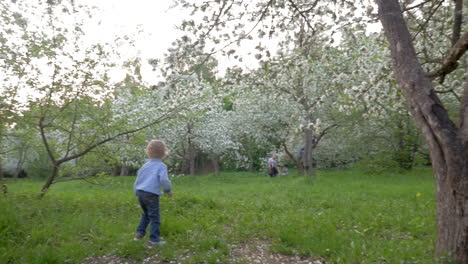 Boy-Wandering-among-Blooming-Trees