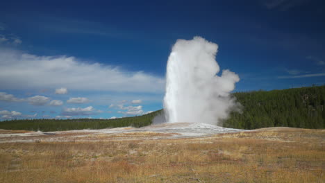 Cinematic-famous-Old-Faithful-geyser-sunrise-sunset-eruption-Yellowstone-National-Park-observation-deck-viewing-area-Upper-Geyser-Basin-active-volcano-fall-autumn-beautiful-blue-sky-slow-motion-pan