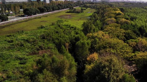 By-day-in-the-ecological-reserve:-aerial-view-moving-away-from-the-large-wetland-surrounded-by-leafy-trees