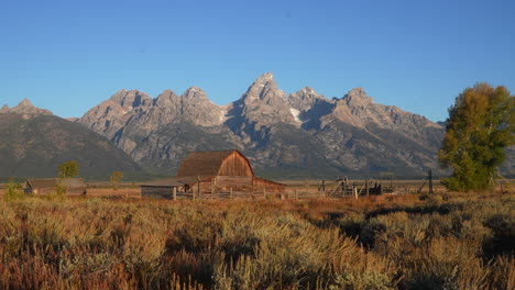 Mormon-Row-Historic-district-first-ligh-morning-Grand-Teton-National-Park-windy-tall-grass-fall-Aspen-golden-yellow-trees-Jackson-Hole-Wyoming-beautiful-blue-sky-cinematic-wide-slider-left-slowly