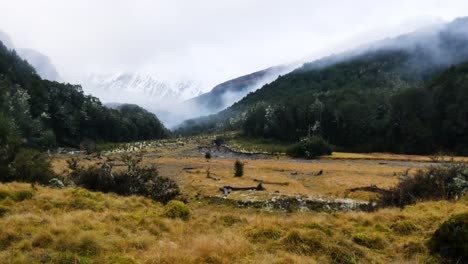 Nebliges-Alpines-Gebirgstal-In-Neuseeland