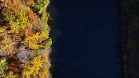 A-top-down-view-of-a-lake-on-a-sunny-day-with-colorful-autumn-trees