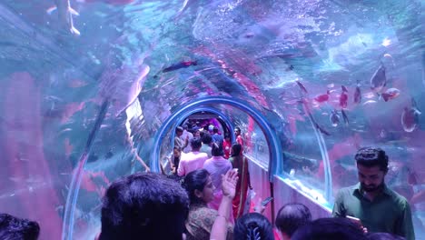 People-watching-fish-with-his-family-at-night,-people-watching-fish-in-underwater-tunnel
