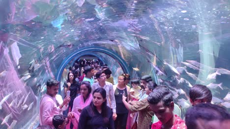 Many-people-are-watching-the-fish-house,-people-are-watching-the-fish-in-the-underwater-tunnel