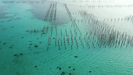 Drone-shot-of-Celebes-turquoise-Sea-farming-in-Malaysia,-Pan-Left