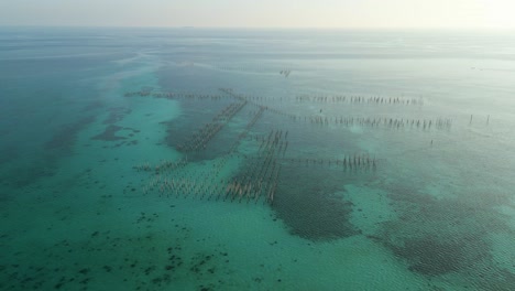 Aerial-shot-of-wooden-fishing-poles-in-the-Celebes-sea-where-locals-catch-fish