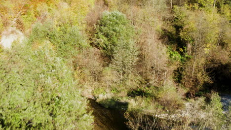 Drohne-Fliegt-An-Einem-Sonnigen-Herbsttag-über-Den-Bergwald