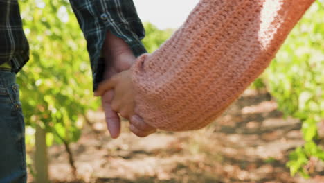 Close-up-shot-of-couple-holding-hands-in-a-vineyard