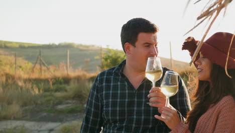 Couple-clinking-glasses-with-white-wine