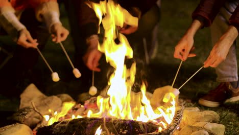 Close-up-of-friends-roasting-marshmallows-on-camp-fire