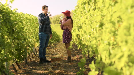 Caucasian-couple-clinking-glasses-in-a-vineyard