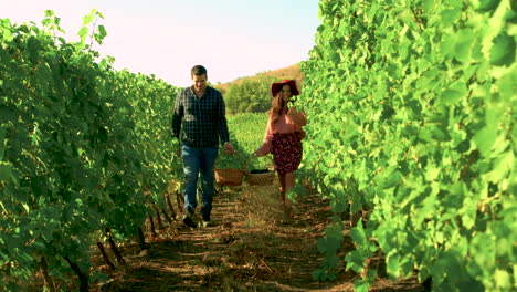 Caucasian-couple-with-baskets-of-grapes-walking-in-vineyard