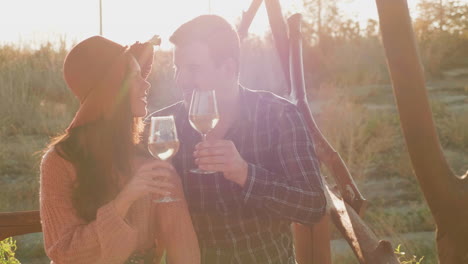 Couple-clinking-glasses-of-wine-in-warm-sunset-light
